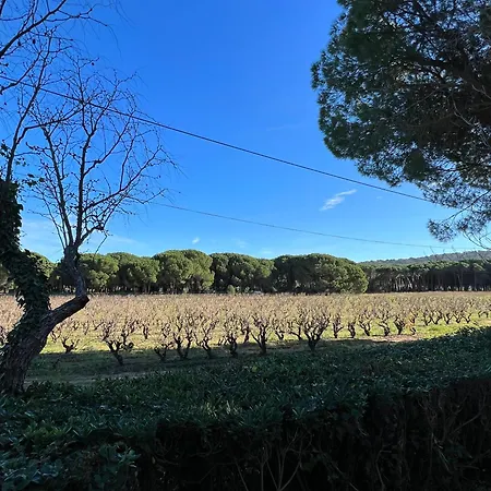 Lormarin Saint-Tropez